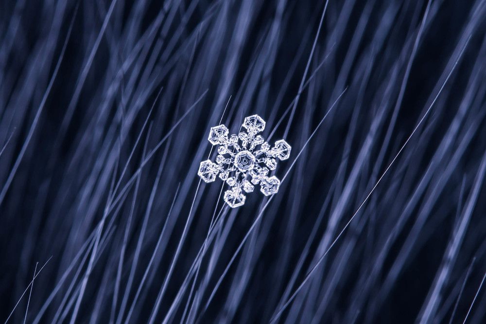 Photograph by Olga Vasina