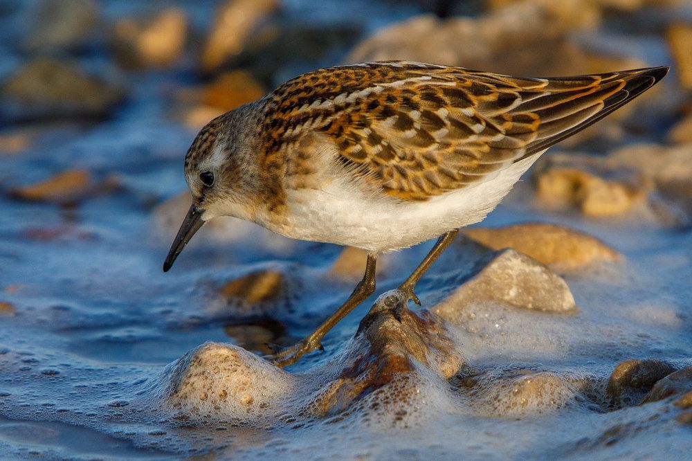 Photograph by Аркадий Саямов