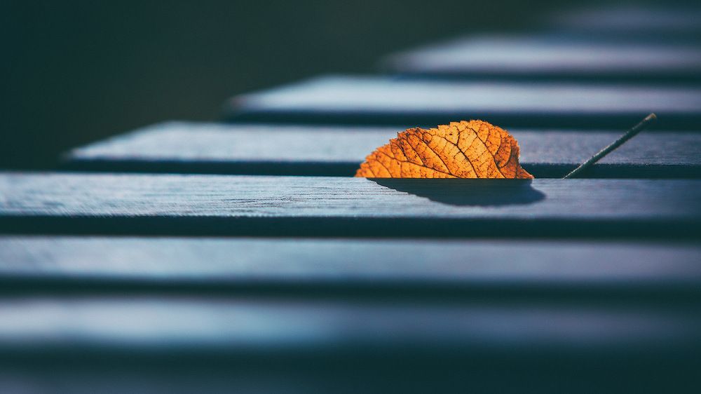 Photograph by Аркадий Саямов