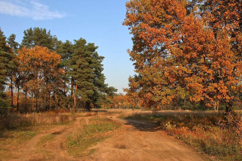 Photograph by Алексей Федулов