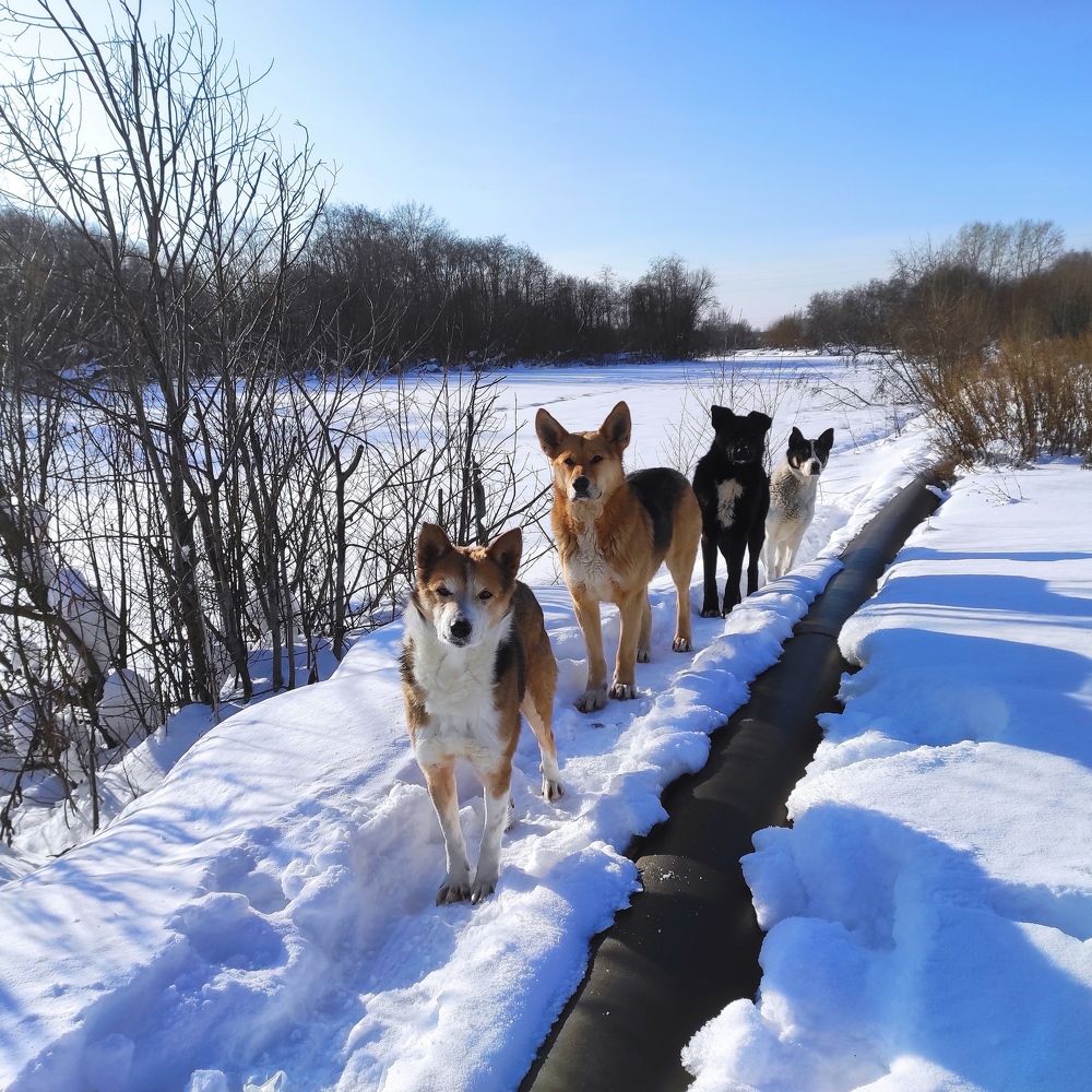 Photograph by Ирина Саттарова