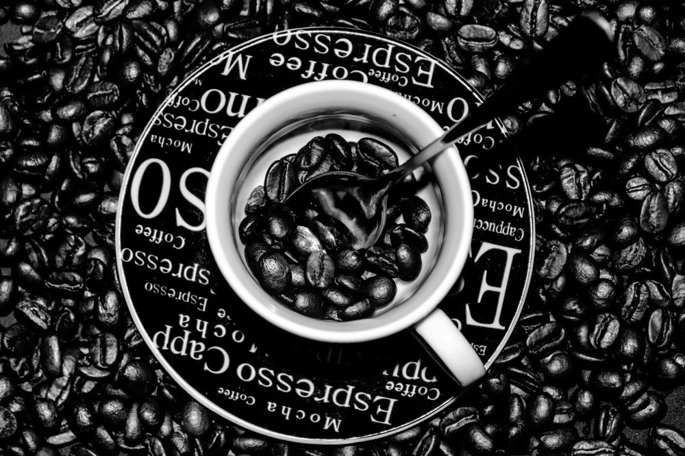 Photograph by Diana borges