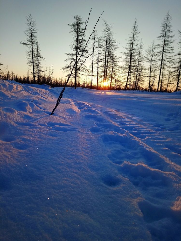 Photo #5794137