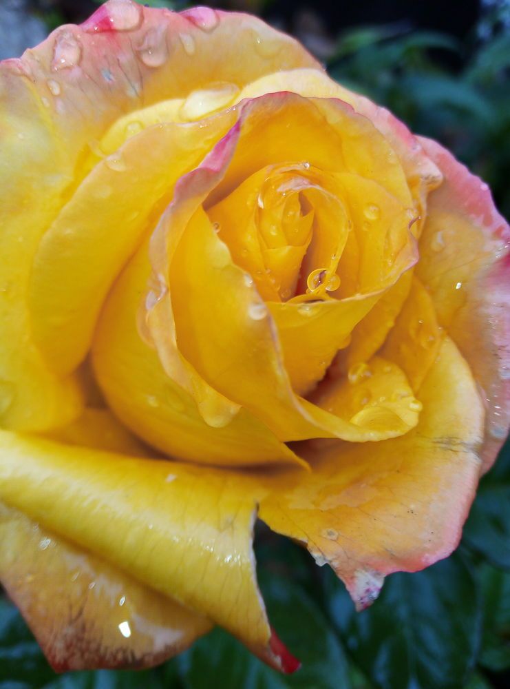 Photograph by Юлия Волобуева