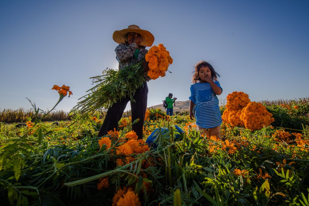 Фотография автора Felipe Heli Pérez Almonte