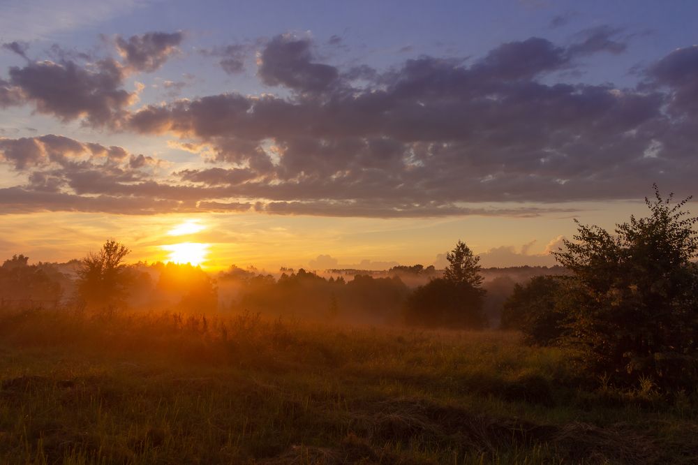 Photograph by Дмитрий Котов