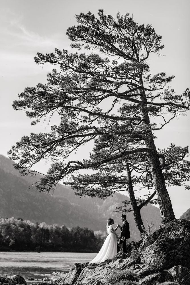 Photograph by Roman Zhdanov