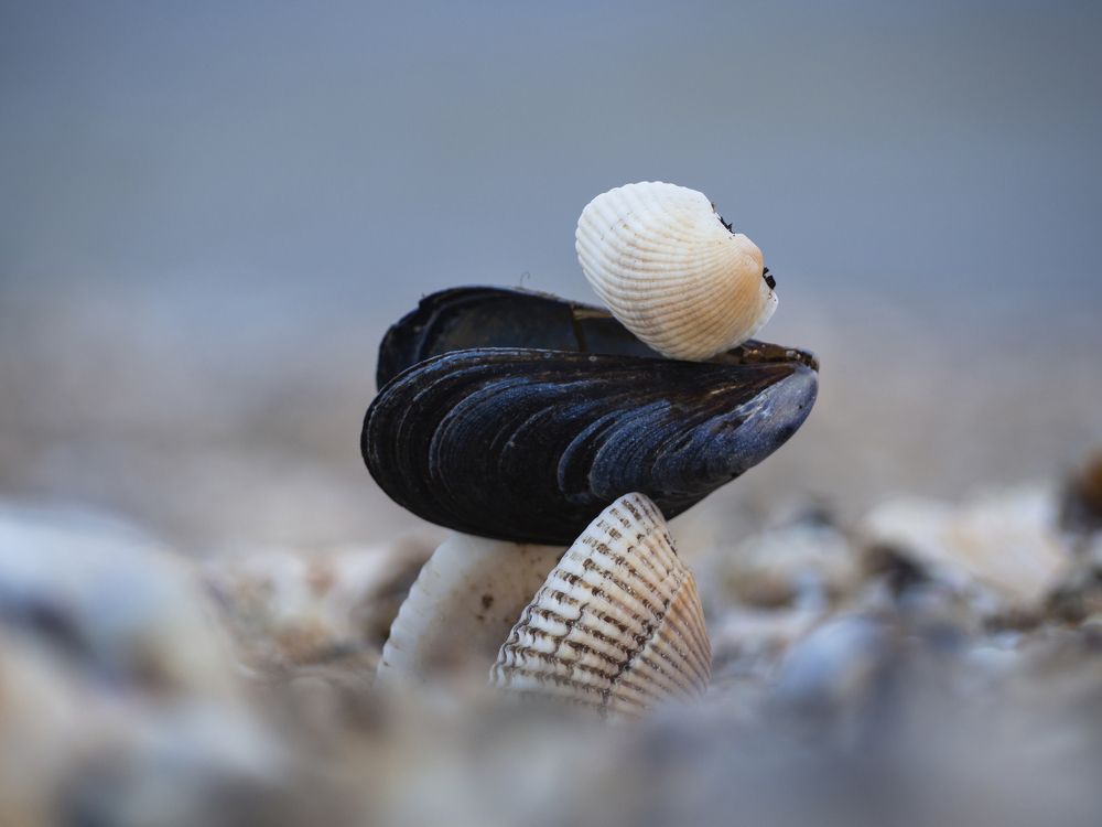 Фотография автора Александр Кротков