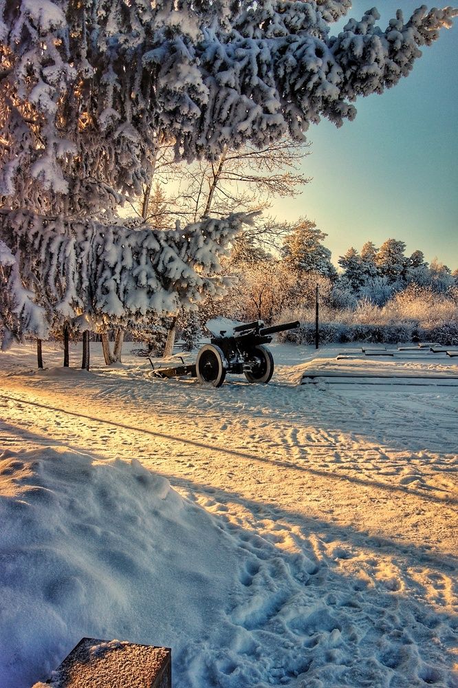 Фотография автора Марина