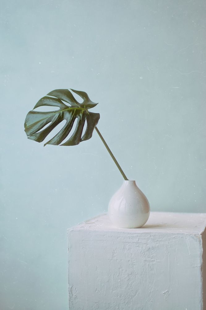 Photograph by Svoboda Andreeva