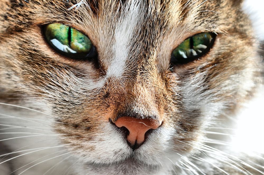 Photograph by Людмила Иващенко