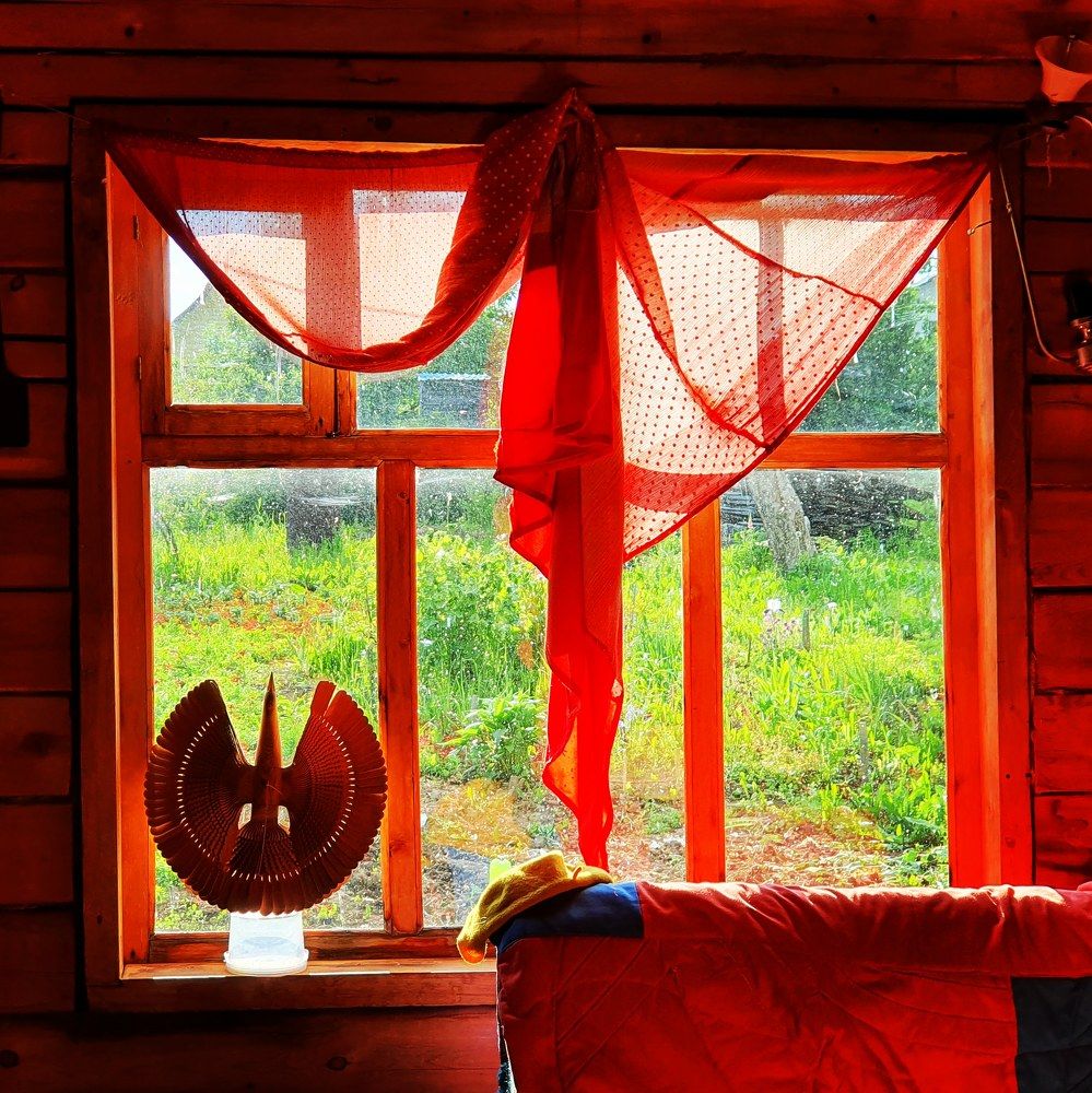 Птица счастья