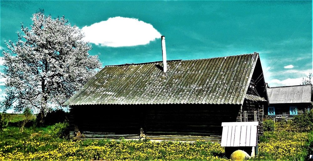 Photograph by TERESA Yurkevich