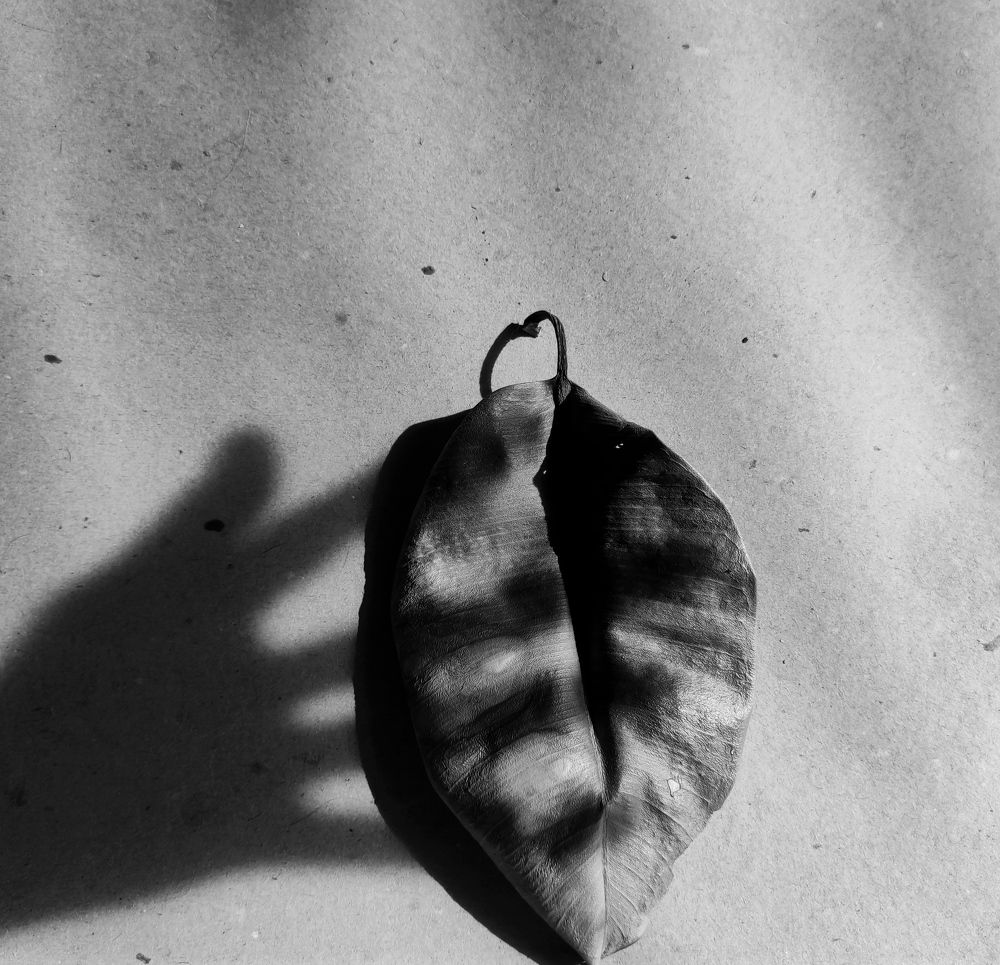 Photograph by Ирина Саттарова