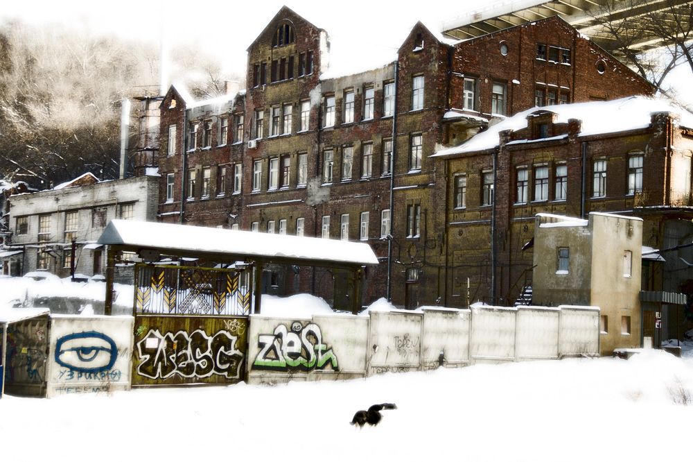 Photograph by Марина Рунова