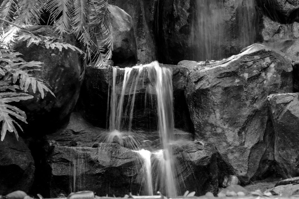 Photograph by Lal Biak Chhunga