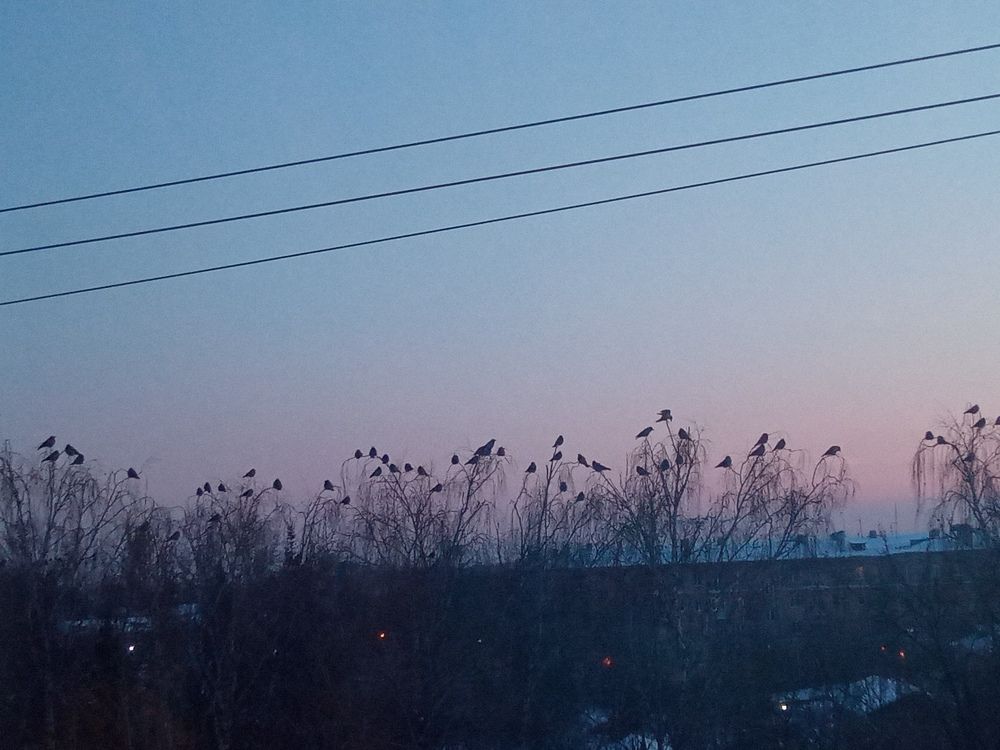 Фотография автора Людмила Зубова