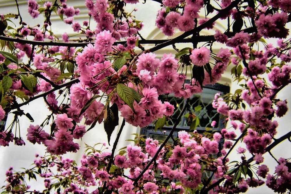 Photograph by TERESA Yurkevich