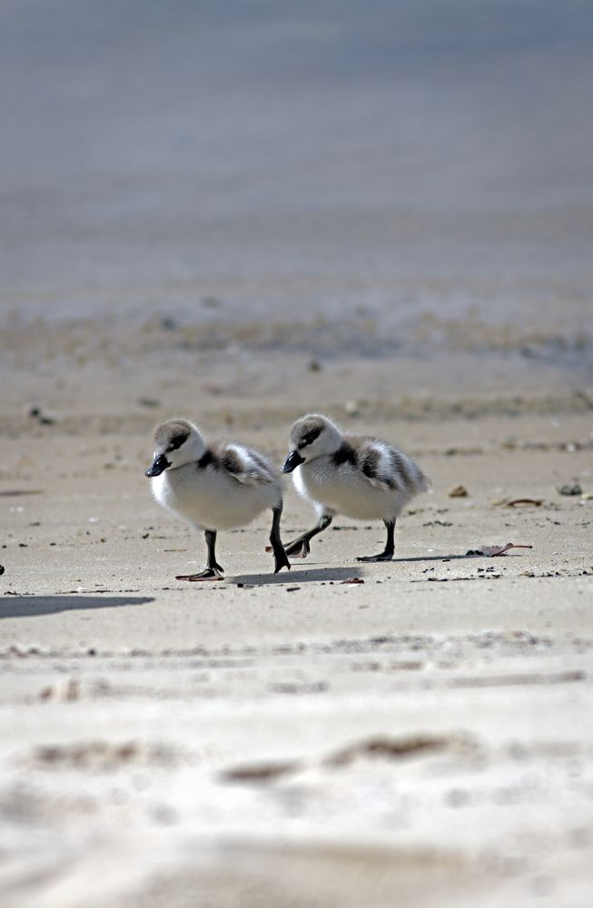 Фотография автора JOE