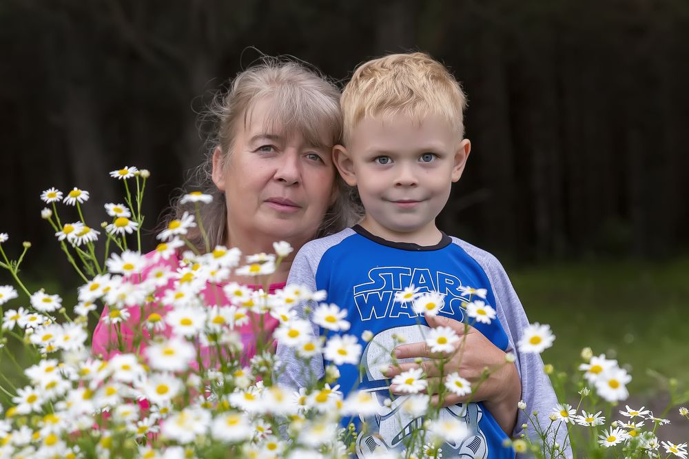вечер в лесу
