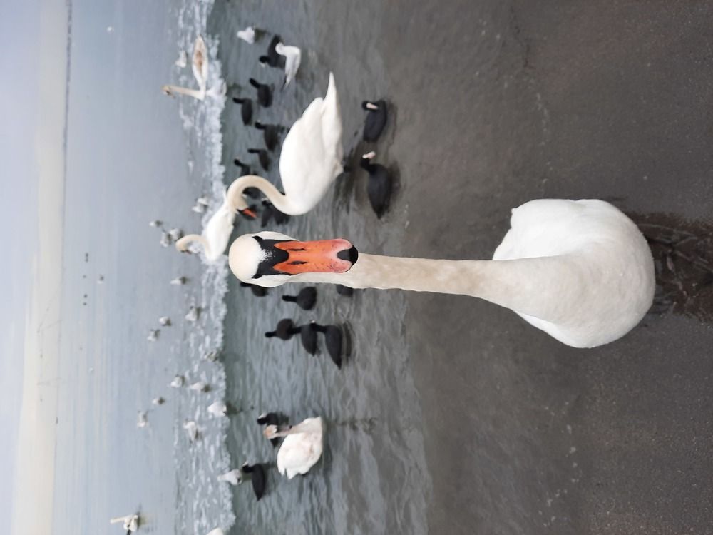 Photograph by Лала Екимчева