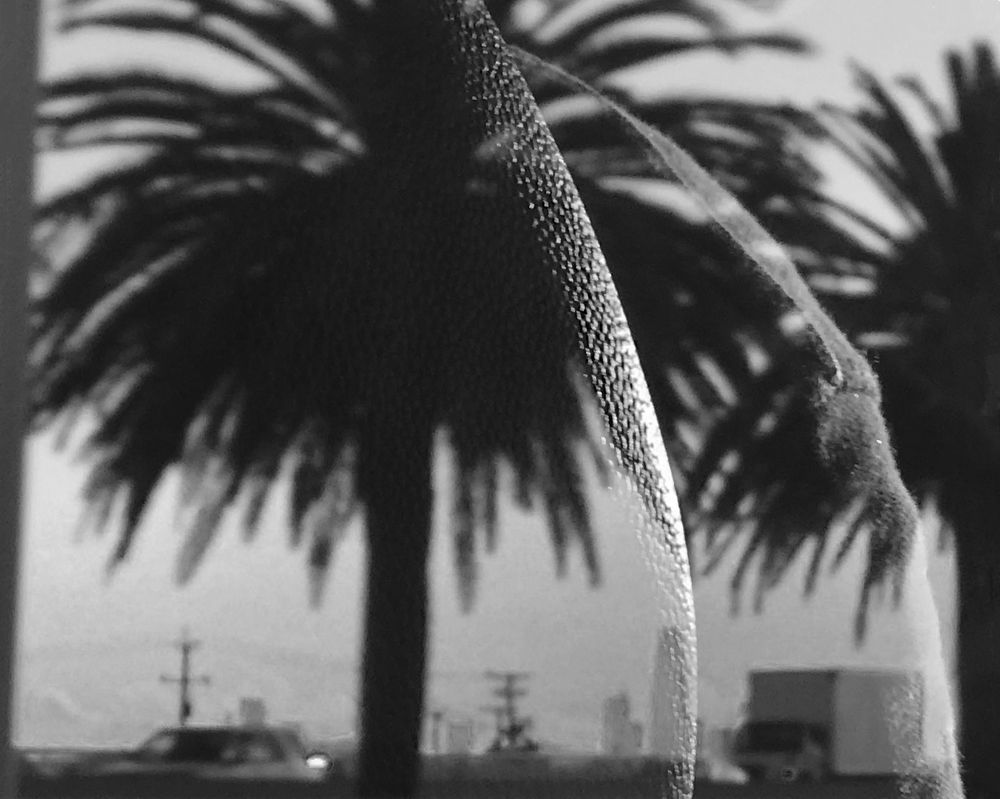 Shadows and Reflections