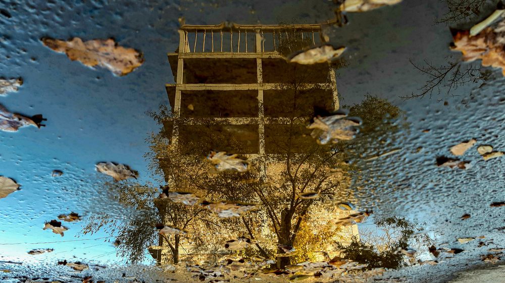 Photograph by PoulYak