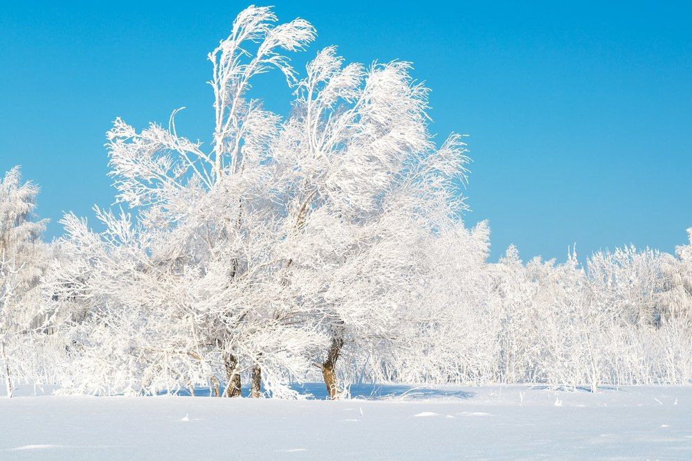 Photograph by Владимир Салапонов