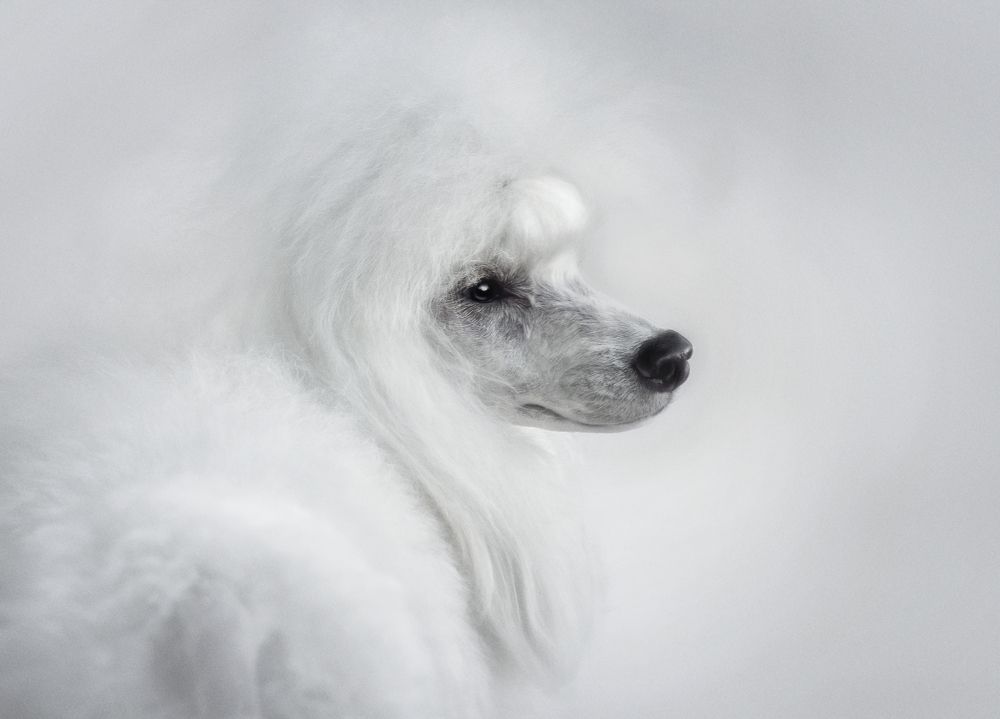 Photograph by Татьяна Носова