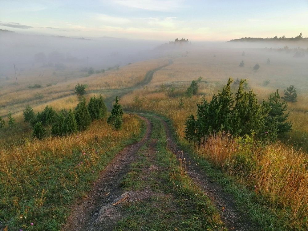 Photograph by Roman Dmitriev