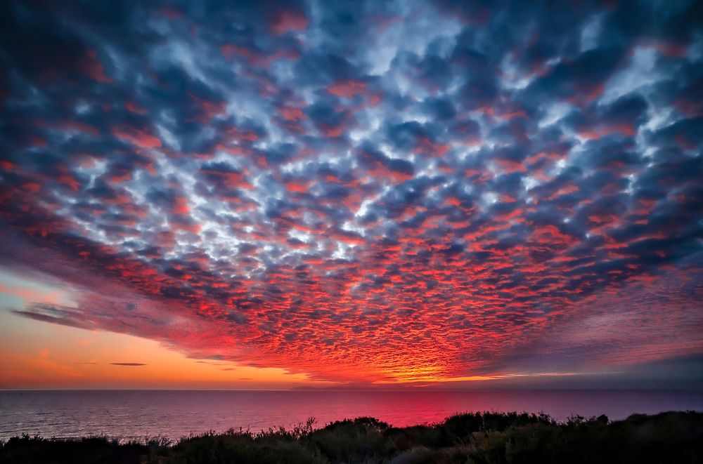 Photograph by Roman Vershynin