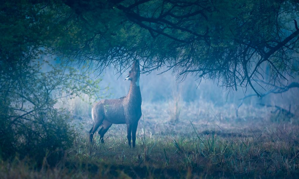 Фотография автора Ravikumar Kannaiyan