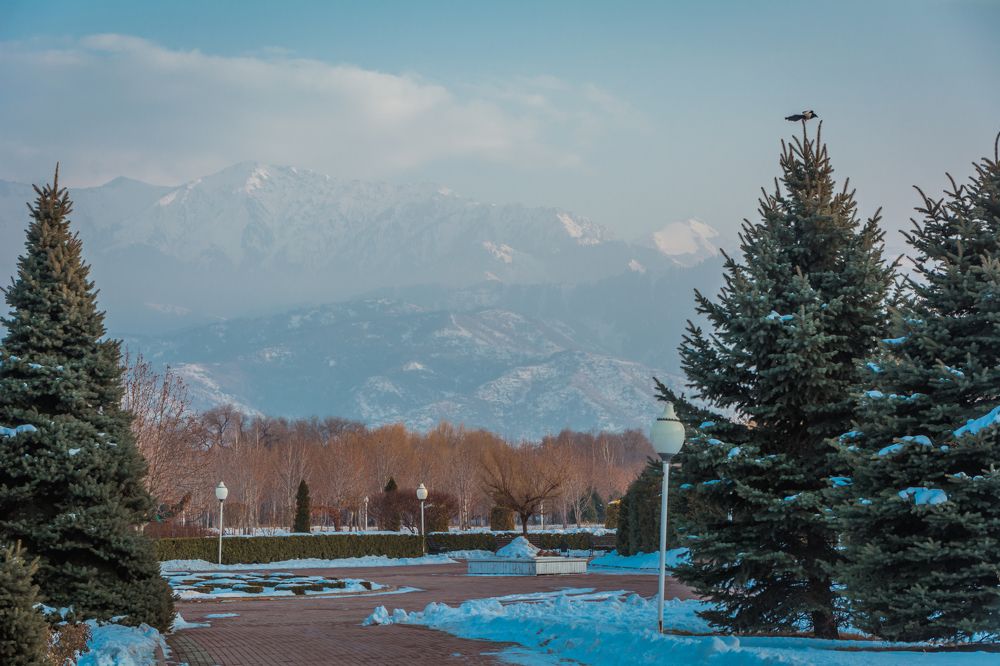 Photograph by Юлия Подлеснова