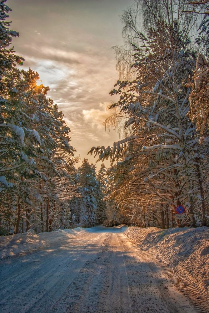 Photograph by Алексей Акулин