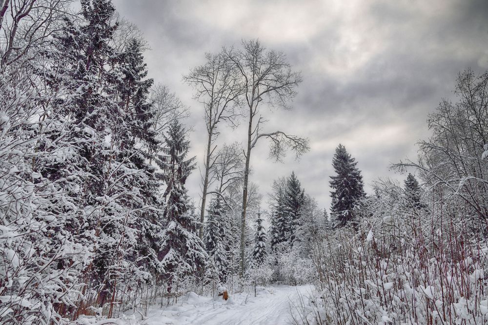 Photograph by Наталия К