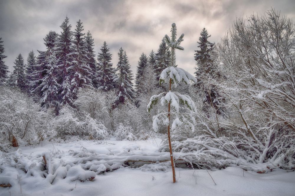 Photograph by Наталия К