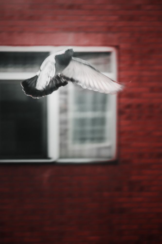 Photograph by Mohammad Javady