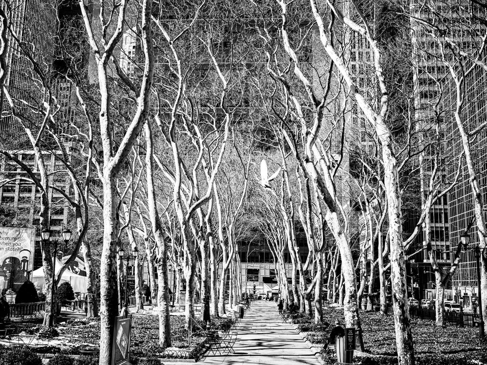 Photograph by Eduardo Moreno