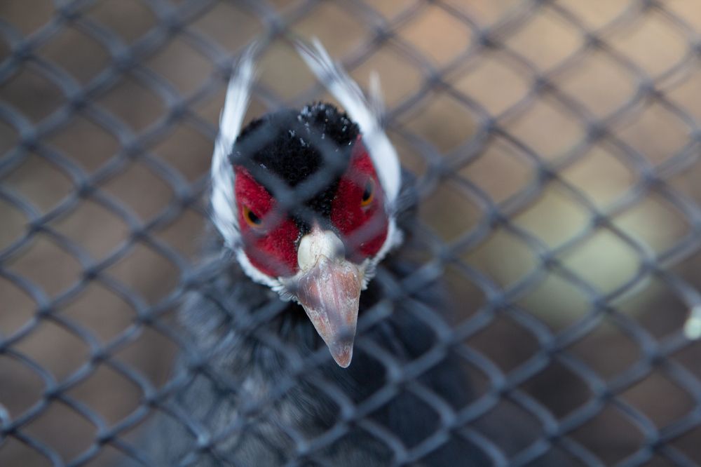 Фотография автора Mariusz Wróblewski