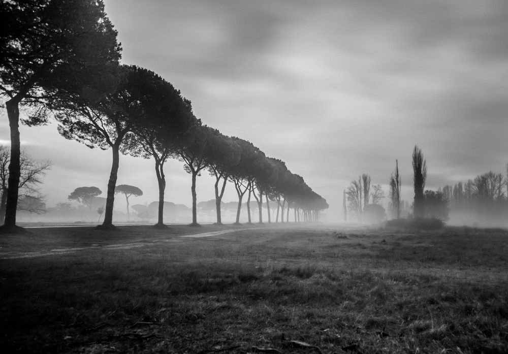 Фотография автора Michele Trombella