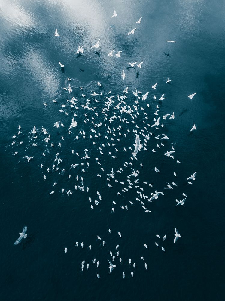 Photograph by Daniel Franc