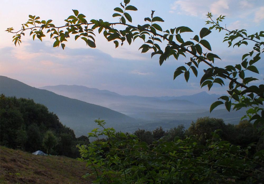 Photograph by Дмитрий Крылов