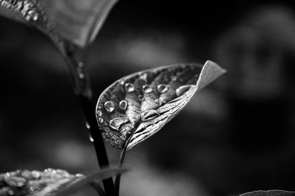 Photograph by Анастасия Павлова