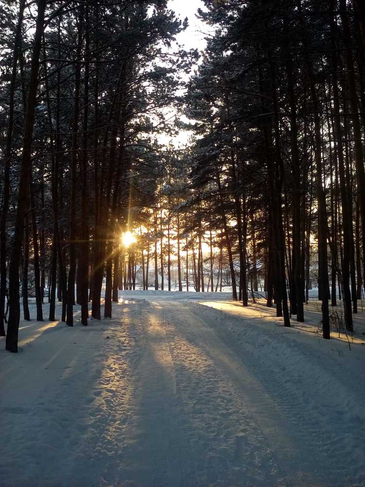 Photograph by Кирилл Кох