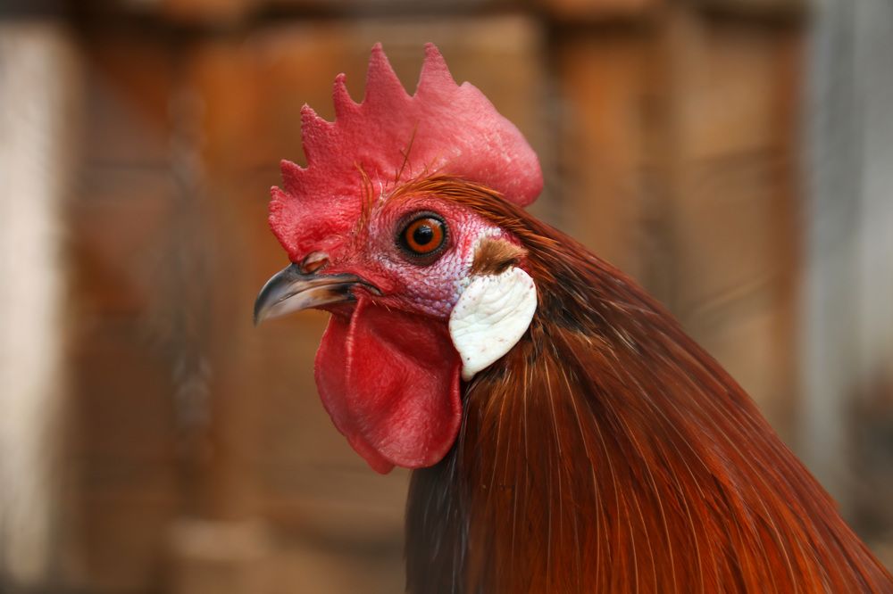 Photograph by Наталья Гайдукевич