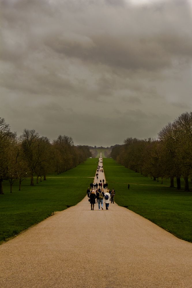 The Long Beautiful Walk with Nature