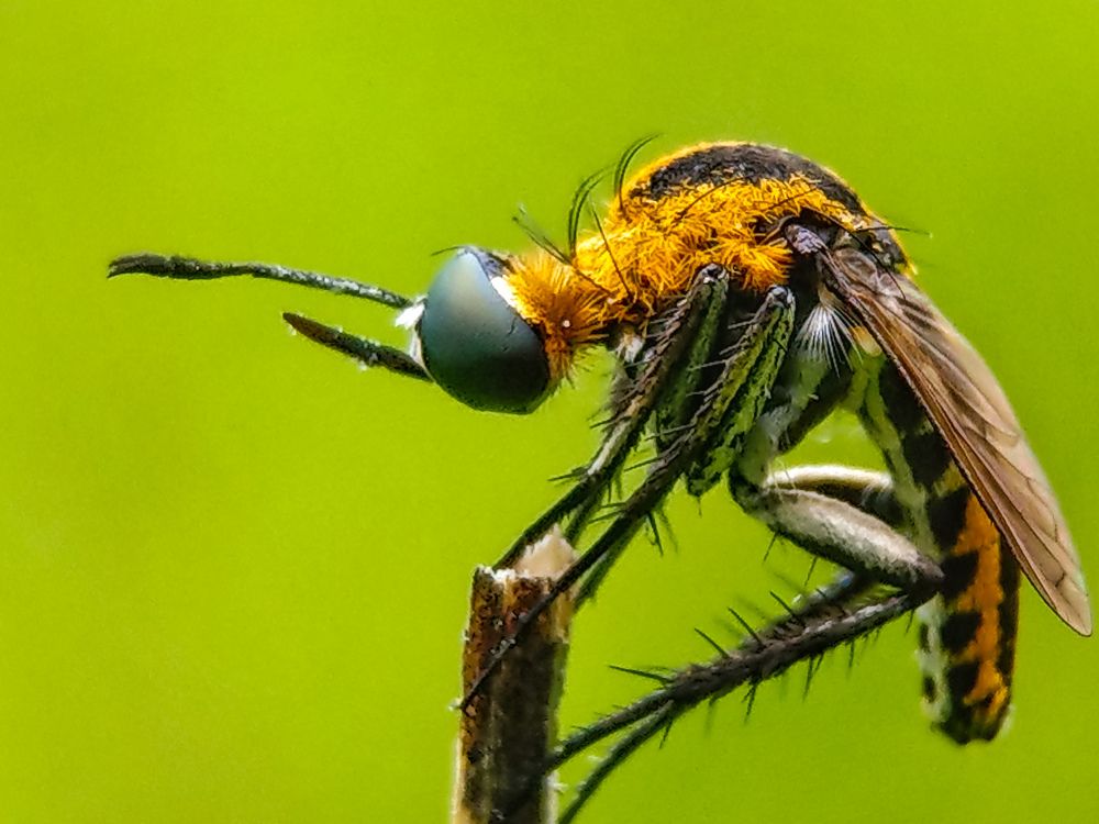 Photograph by Syi'ir Waton