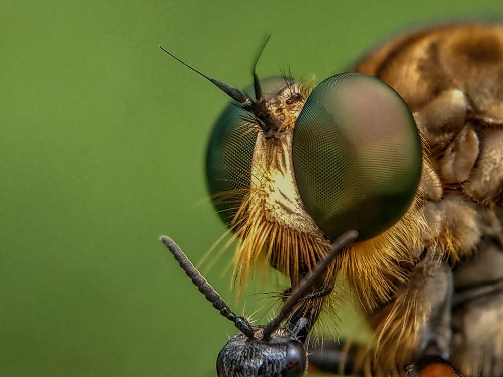 Photograph by Syi'ir Waton