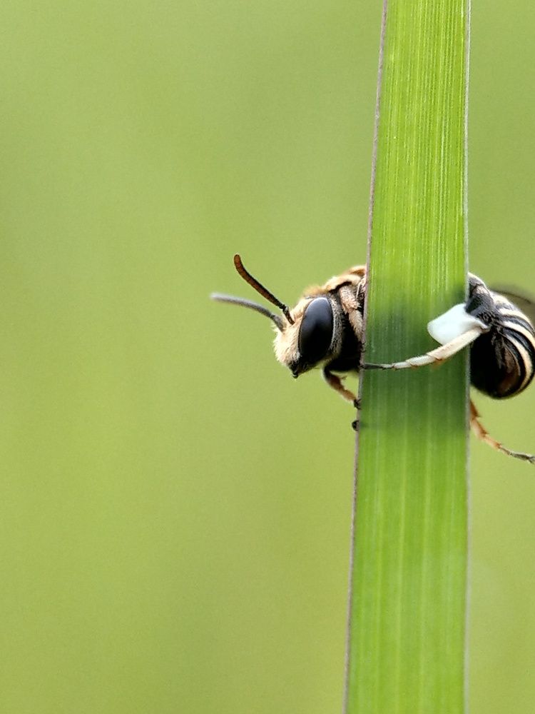 Photograph by Syi'ir Waton