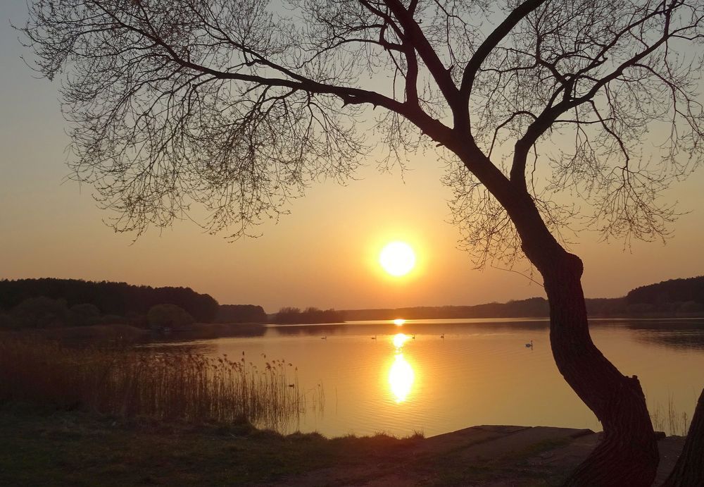 Лебединное озеро